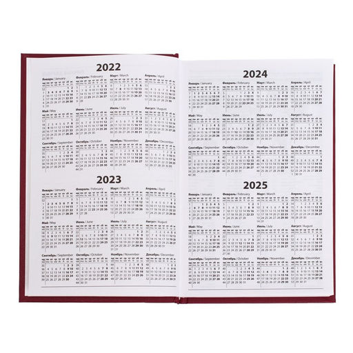 Ежедневник полудатированный на 4 года А5, 192 листа, обложка бумвинил, бордовый - Calligrata фото 4