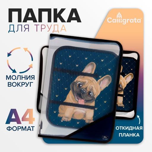 Папка для труда, А4, пластиковая, 23×32.5×2.5 см «Бульдожка»