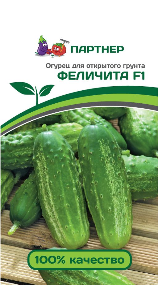 Огурец пчелоопыляемый Феличита