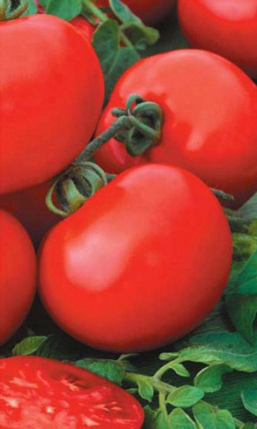 Томат САНЬКА Ультраранний! Мясистый!