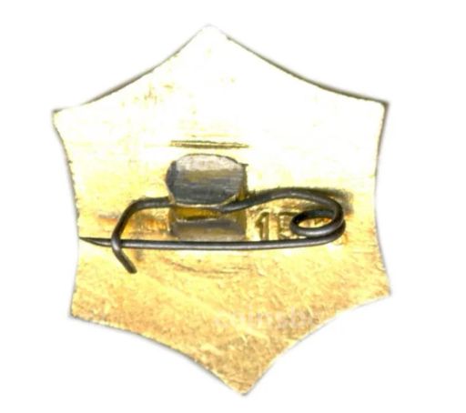 Значок Куйбышев  Гимнастика