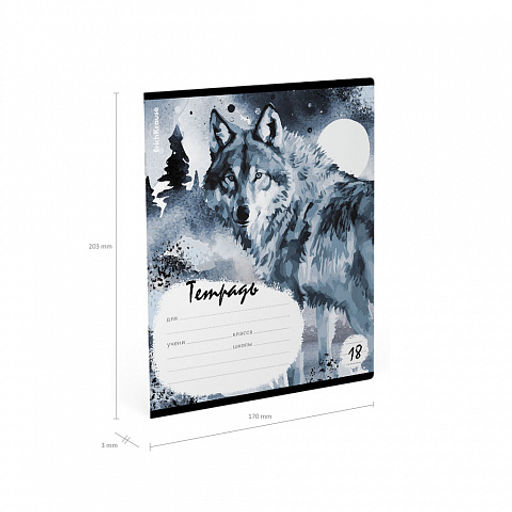 Цена за 10 шт. Тетрадь школьная ученическая ErichKrause Timber Wolf, 18 листов, линейка (в плёнке по 10 шт.)_MIX-PACK  фото 10