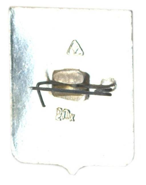 Значок Юрьев