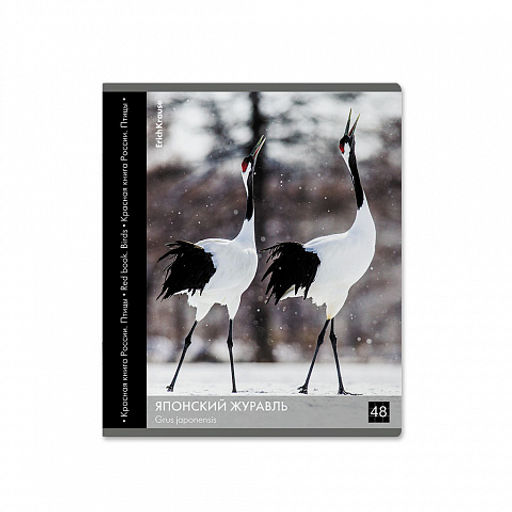 Цена за 5 шт. Тетрадь общая ученическая ErichKrause Энциклопедия, Красная книга России. Птицы, 48 листов, клетка, глянцевая ламинация_MIX-PACK  фото 7