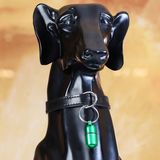 Адресник - капсула под записку, 2,2 х 1,3 см, зелёный - Пижон фото 5