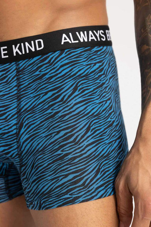 Комплект боксеров стандартной посадки (3 шт.) - Defacto фото 3