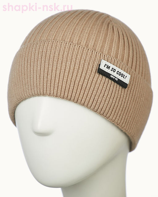 04-79-M (о) Шапка для мальчика (52-54)