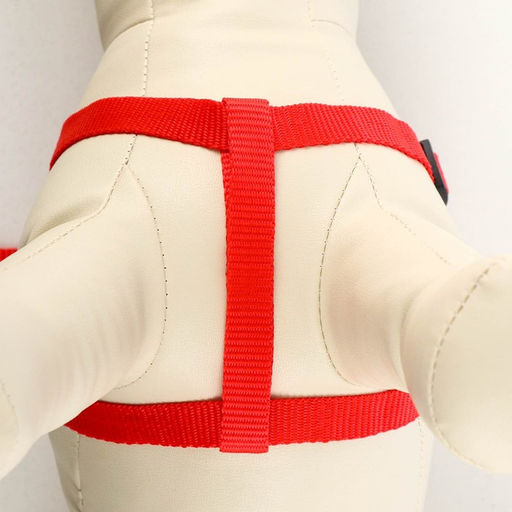 Комплект Базис, поводок 120 х 1,5 см, ОГ 32-46 см, красный - Пижон фото 3