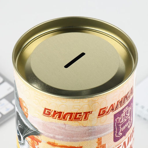 Копилка XXL «Енот», 20×12.5 см