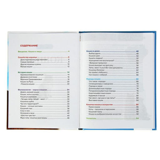 Цена за 2 шт. Детская энциклопедия «Кошки»