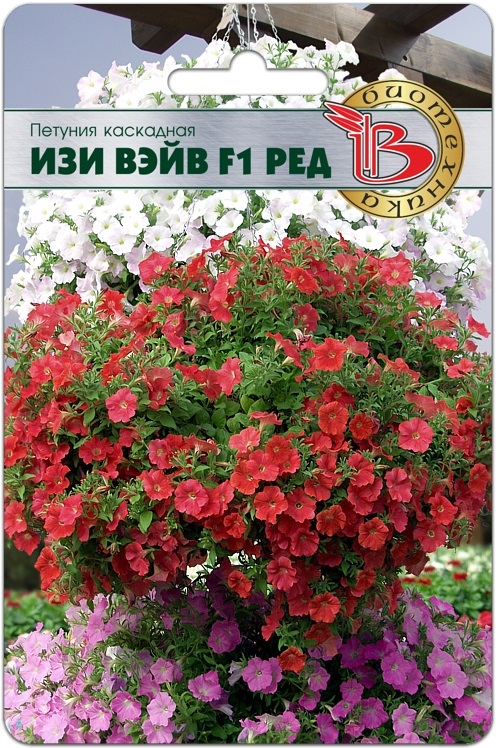 Петуния каскадная Изи Вэйв F1 Бургунди Велюр - Биотехника фото 8