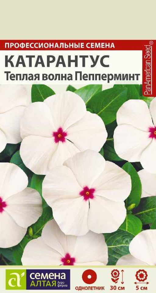 Катарантус Теплая волна Пеперминт/Сем Алт/цп 7 шт. НОВИНКА