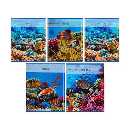 Комплект тетрадей из 5 шт (4 разные + 1 повторяющаяся МИКС), 36 листов, клетка, Океан, обложка мелованная бумага, блок №2, белизна 75% (серые листы) - Calligrata фото 2