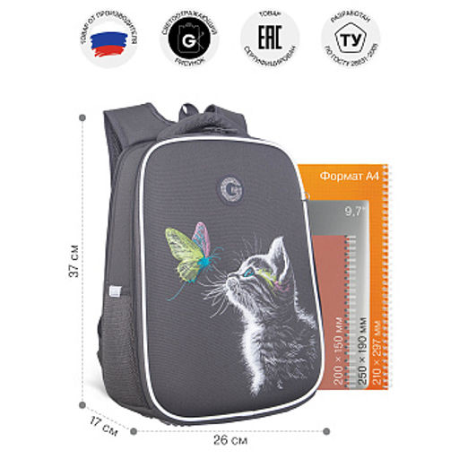 RAw-694-3 Рюкзак школьный с чехлом для мелочей - Grizzly фото 37