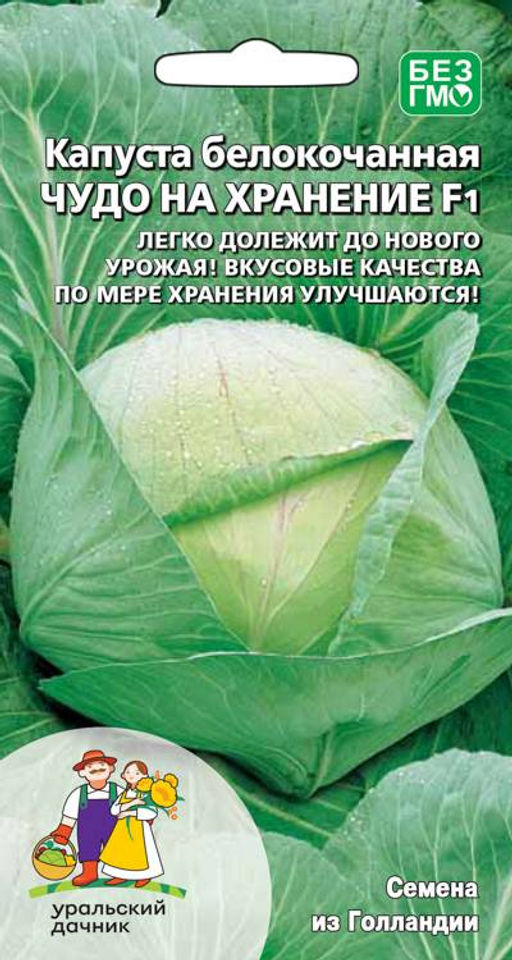 Капуста ЧУДО НА ХРАНЕНИЕ F1 Легко долежит до нового урожая! Вкусовые качества по мере хранения только улучшаются!