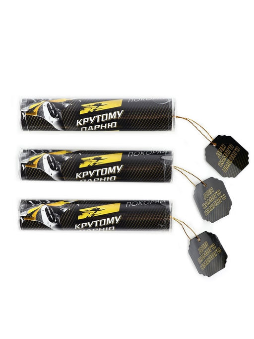 Набор 3 шт ручки в тубусе "Для самого смелого" МП