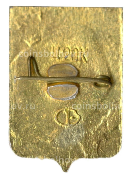 Значок Бийск