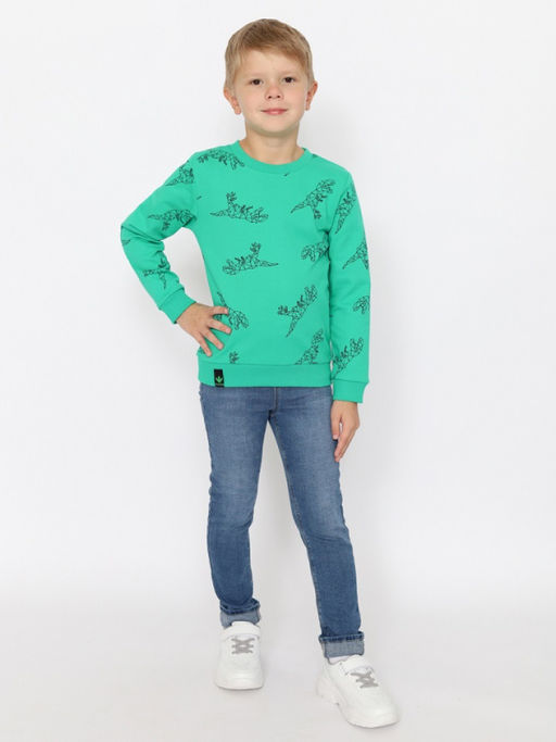 CRB wear/CWKB 63708-37-387 Джемпер для мальчика,зеленый/Ex.Cherubino  фото 2