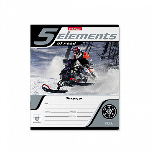 Цена за 200 шт. Тетрадь школьная ученическая ErichKrause 5 Elements, 18 листов, линейка (в плёнке по 10 шт.) фото 5