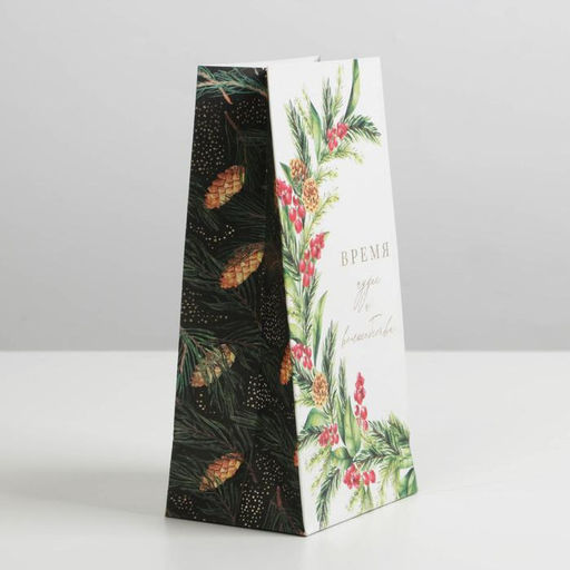 Цена за 10 шт. Пакет без ручек новогодний «Время волшебства», 10×19.5×7 см