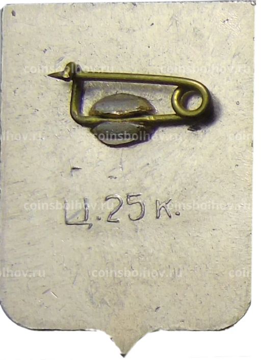 Значок Кострома