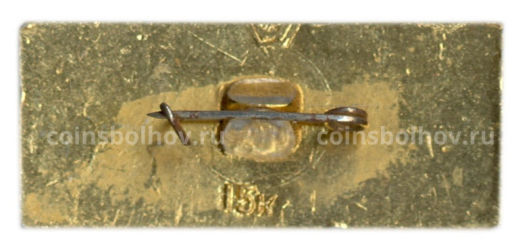 Значок Брянск