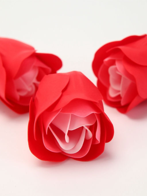 Набор мыльных роз в коробке 16 штук, красно-белые - SB BEAUTY фото 6