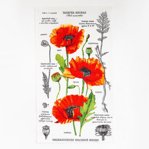 Набор кухонных полотенец Доляна Тебе, 35х60см-4шт, 100% хлопок  фото 3