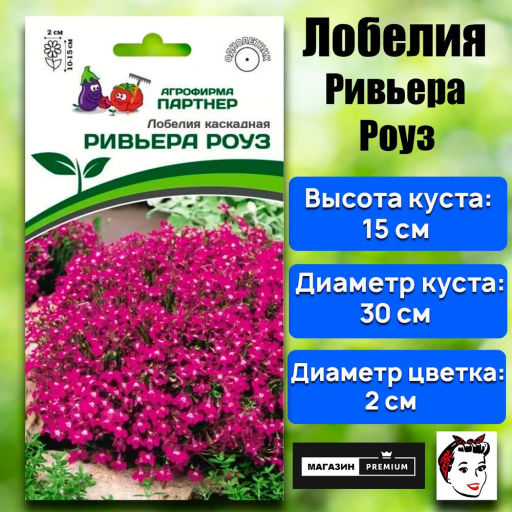 Лобелия каскадная Ривьера Роуз - Партнер фото 2