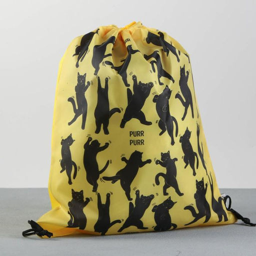 Сумка для обуви Purr,болоньевая, размер 43х33х0,5 см - Artfox фото 2