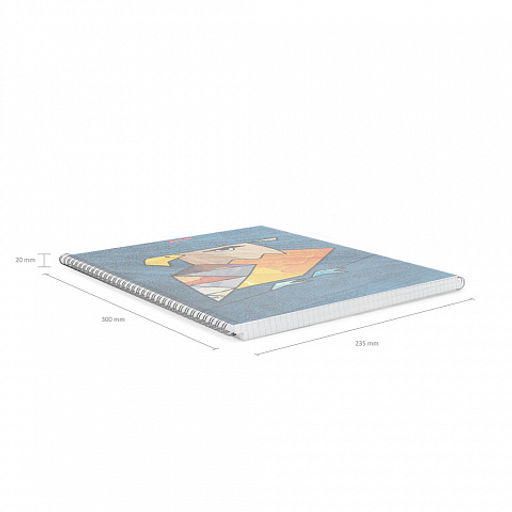 Цена за 2 шт. Тетрадь общая с пластиковой обложкой на спирали ErichKrause Birds, ассорти, А4, 80 листов, клетка  фото 10