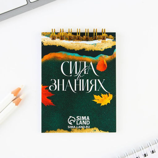 Набор блокнот Учитель источник мудрости, формат А7, 32 листа, ручка пластик,синяя паста - Artfox фото 7