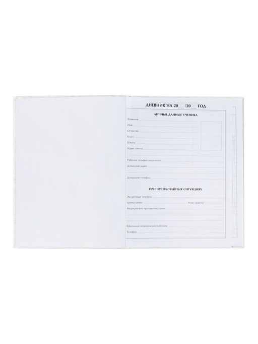 Цена за 2 шт. Дневник школьный для 1-11 классов, «Заяц», твёрдая обложка 7БЦ, глянцевая ламинация, 40 листов