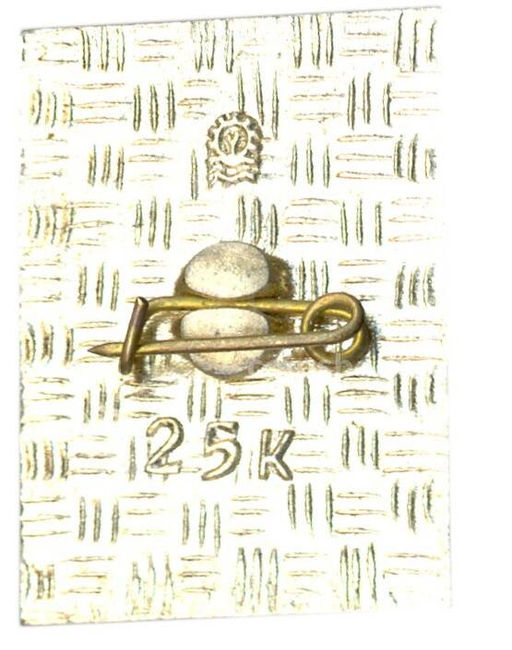 Значок Печенга