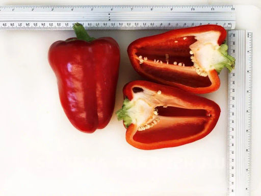 Перец сладкий Регор - Партнер фото 4