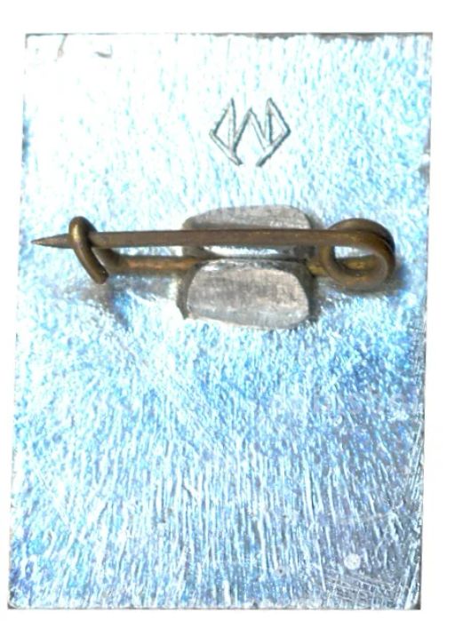 Значок Общество охраны памятников истории и культуры РСФСР