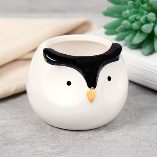 Кашпо 8х8х6,5 см Животные / WN32 /уп 6/96/ цветное - Галеонтрейд фото 5