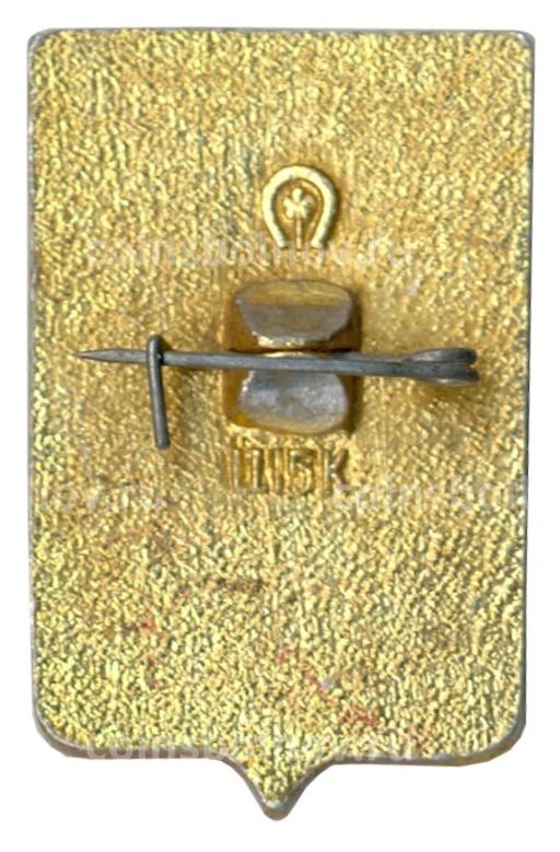 Значок Ростов на Дону