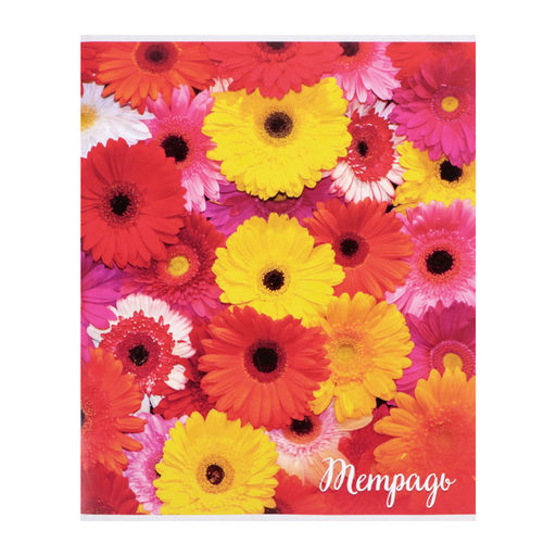 Набор тетрадей, 96 листов в клетку Calligrata "Цветы-1", серые листы, 4 штуки