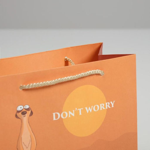 Цена за 2 шт. Пакет подарочный, упаковка, Don not worry, 14.5×19.5×8.5 см