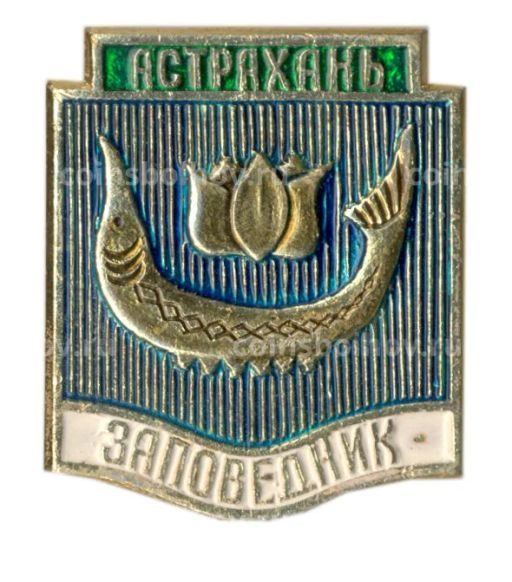 Значок Астрахань