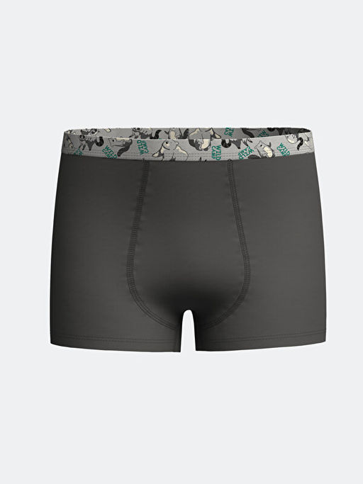 Bask?l? Erkek ?ocuk Boxer 3l? - Waikiki фото 3