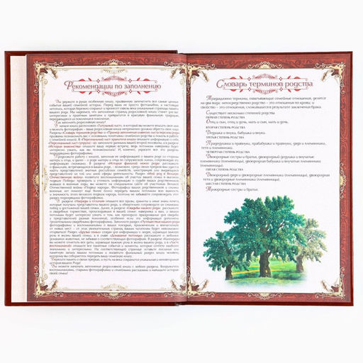 Родословная книга новогодняя «Дед Мороз» 17×2×23.7 см