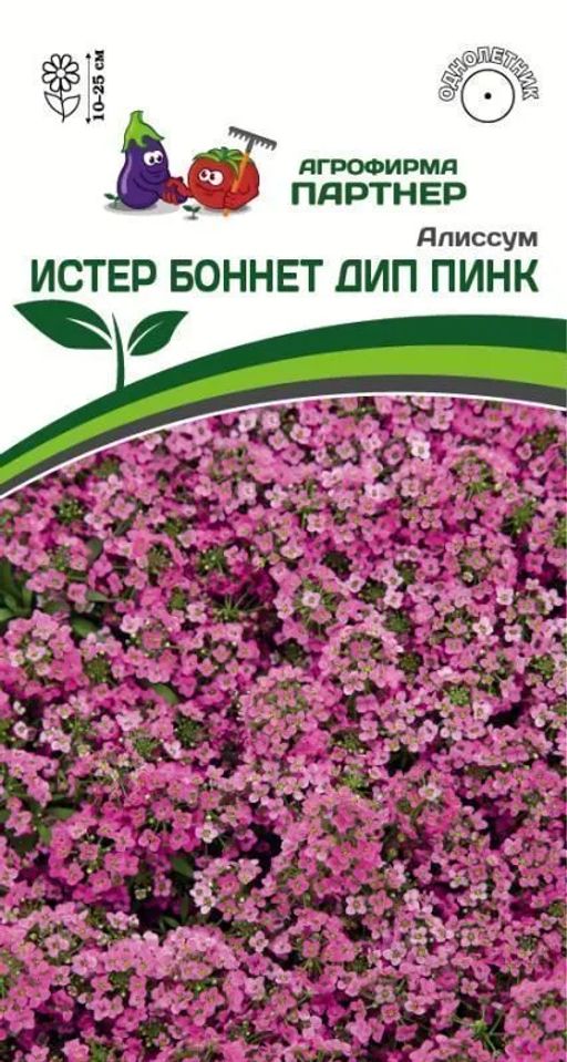 Алиссум морской Истер Боннет Дип Пинк