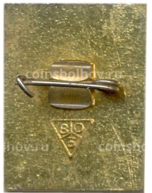 Значок Владимир