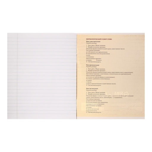 Тетрадь предметная Комикс Аниме 48 листов в линейку Русский язык, со справочным материалом, обложка мелованный картон, УФ-лак (полный), блок офсет - Calligrata фото 3