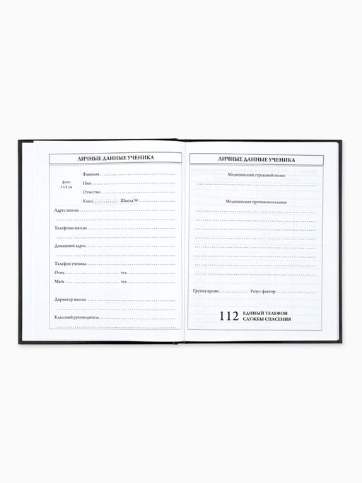 Дневник школьный для 5-11 класса, в твердой обложке, 48 листов «Отличник»