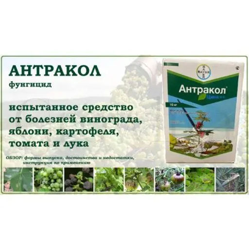 Антракол фунгицид, фасовка