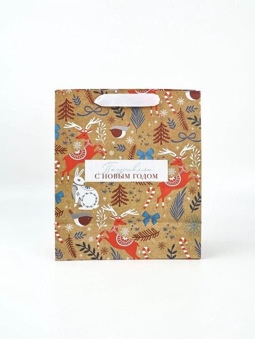 Набор пакетов крафтовых «Новогоднее поздравление»