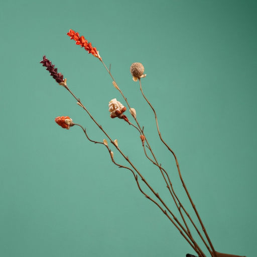 Сухоцвет на бамбуковом стебле, 150 см, оранжевый